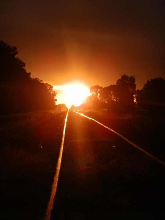 Narrabri Motel And Caravan Park Exterior foto